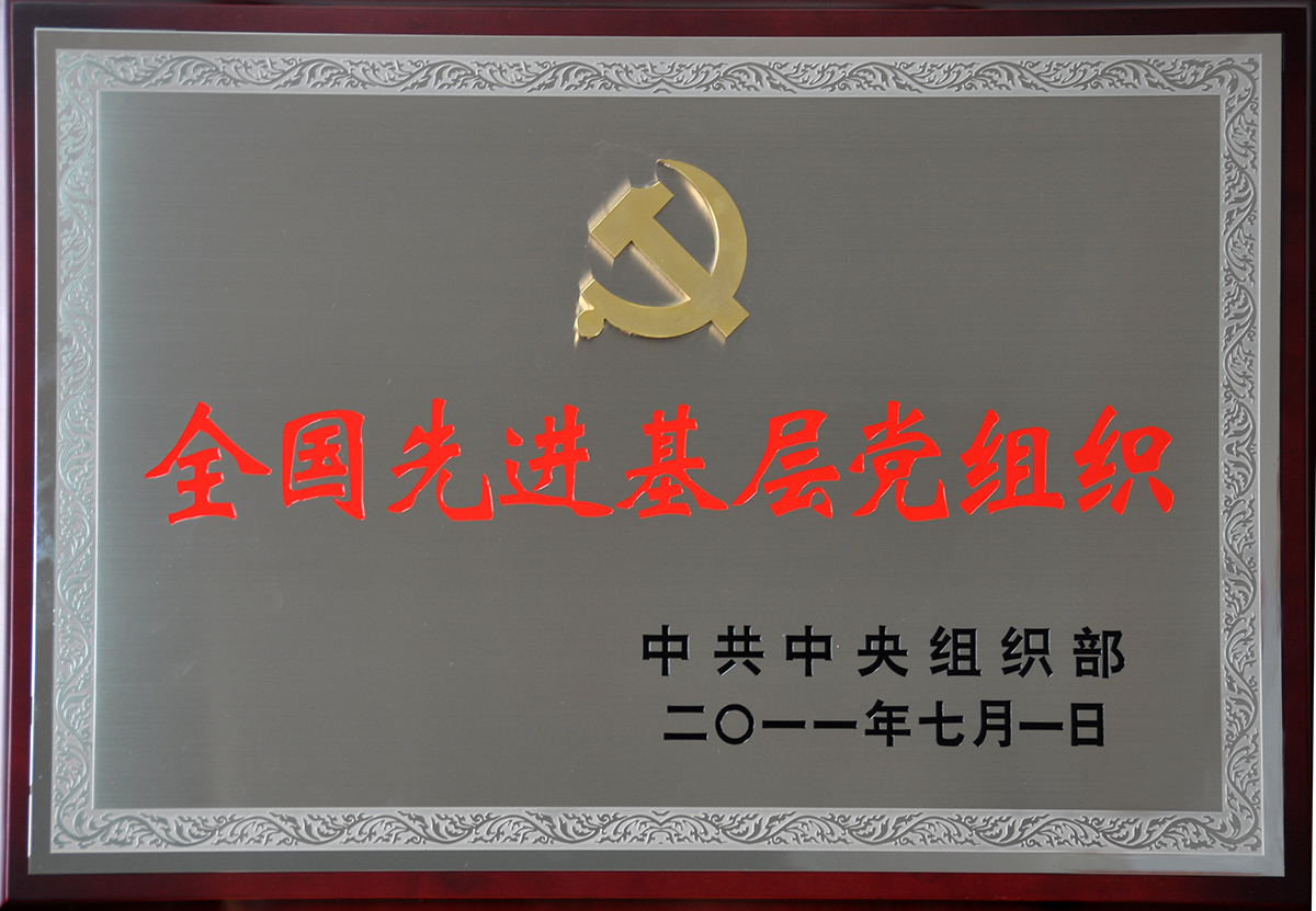 2011年7月，恒峰g22集团党委荣获“全国先进基层党组织”称号