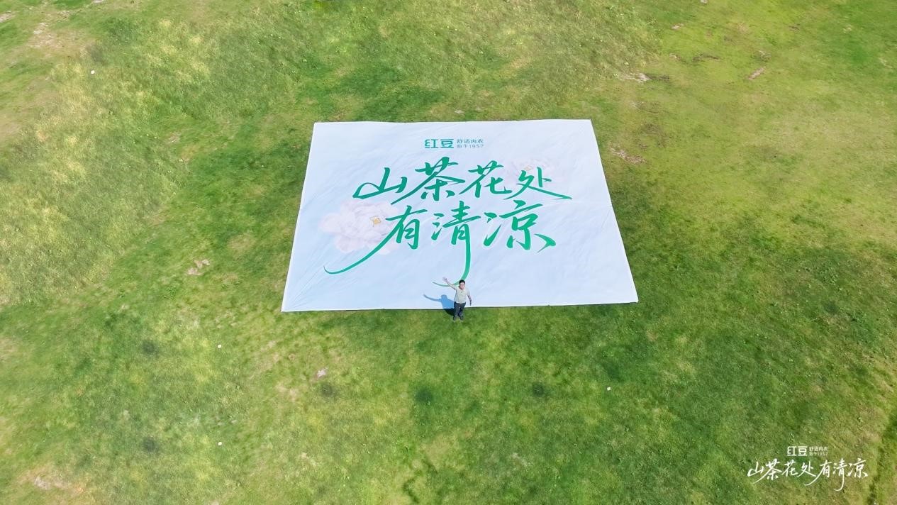 恒峰g22棉山茶花1